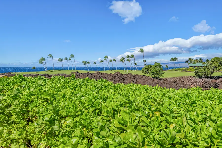 68-1050 Mauna Lani Point Drive #B102, Kamuela, HI 96743 - Image #2