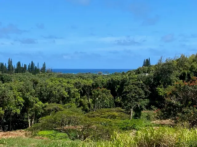 Kanaele Rd, Kapaa, HI 96746 - Image #1