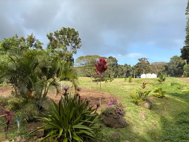 Kanaele Rd, Kapaa, HI 96746 - Image #3