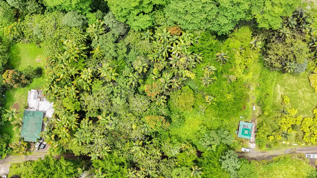 Japanese Camp Rd, Pahoa, HI 96778 - Image #1