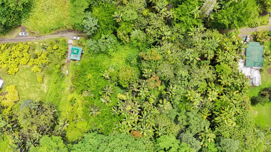 Japanese Camp Rd, Pahoa, HI 96778 - Image #2