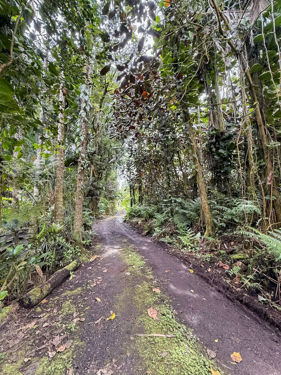 Japanese Camp Rd, Pahoa, HI 96778 - Image #3