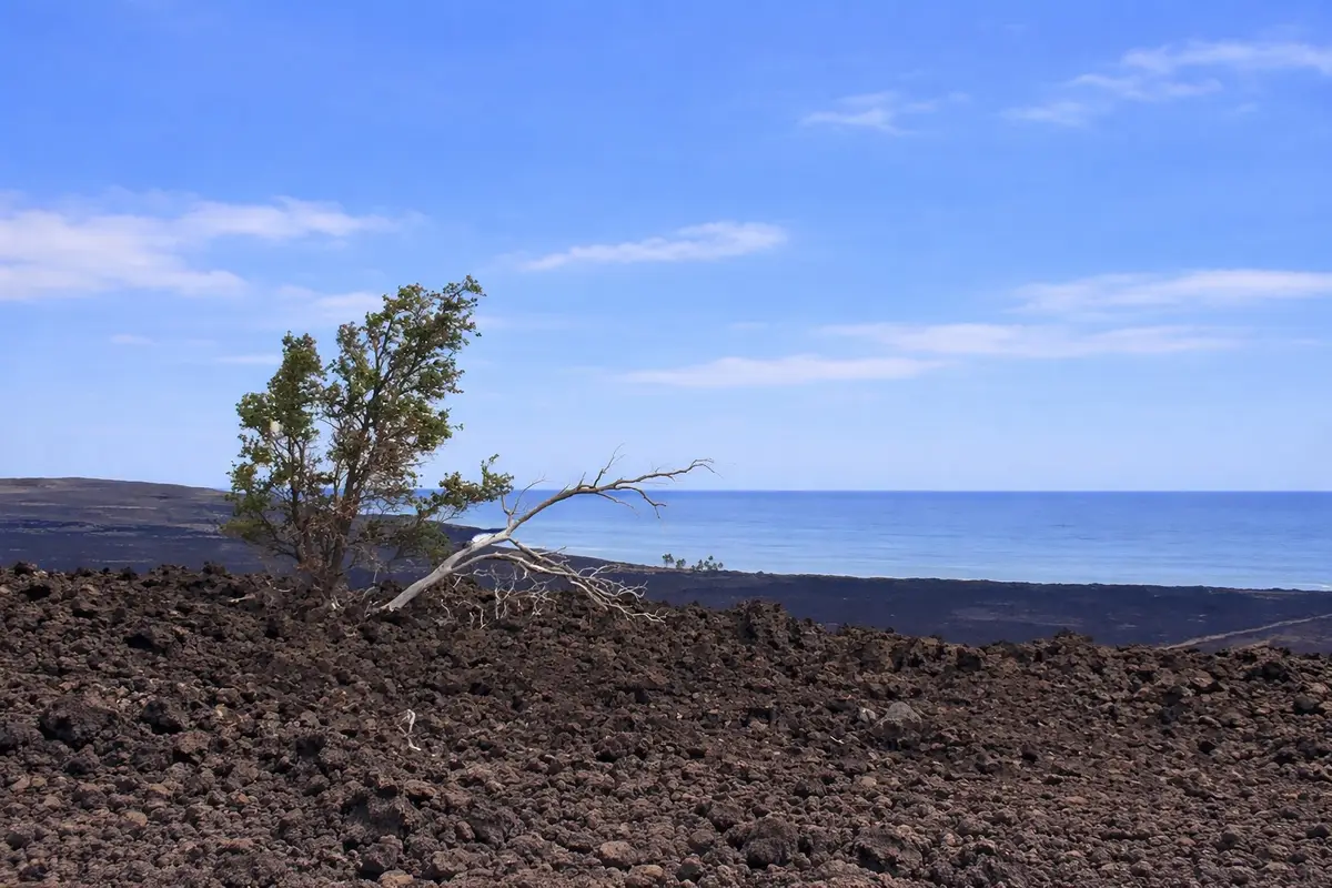 Prince Kuhio Blvd, Ocean View, HI 96737 - Image #1