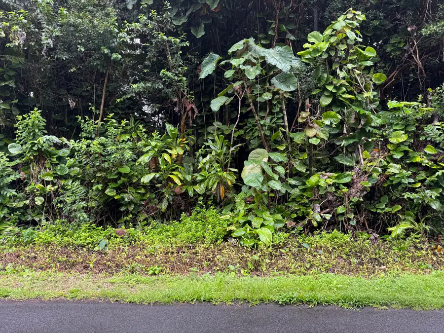 Opihi St, Pahoa, HI 96778 - Image #3