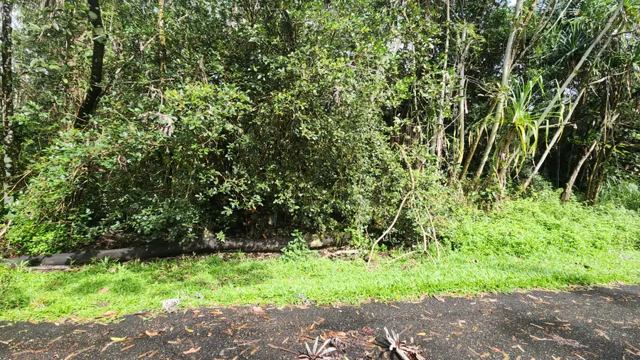 Ohiki St, Pahoa, HI 96778 - Image #3