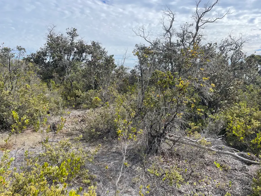 Hukilau Dr #Lot 34, Ocean View, HI 96737 - #3