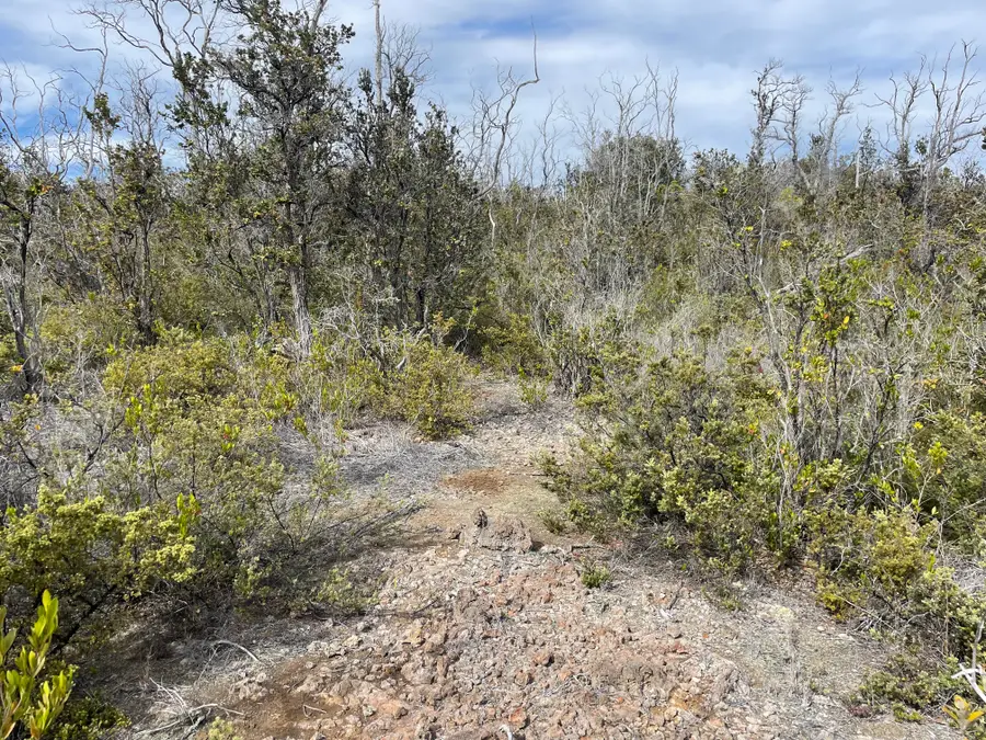 Hukilau Dr #Lot 35, Ocean View, HI 96737 - #3