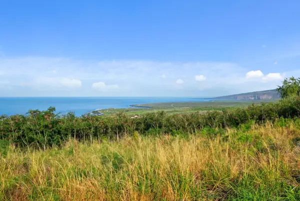 85-5315 Kiilae Rd, Captain Cook, HI 96704