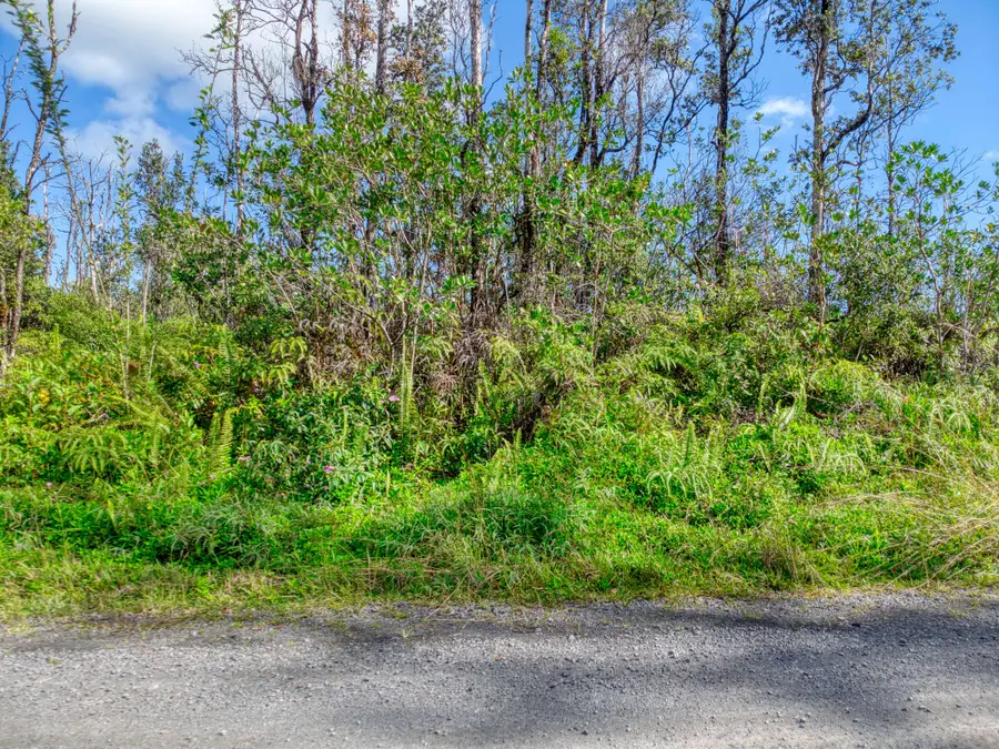 28th Ave, Keaau, HI 96749 - Image #3