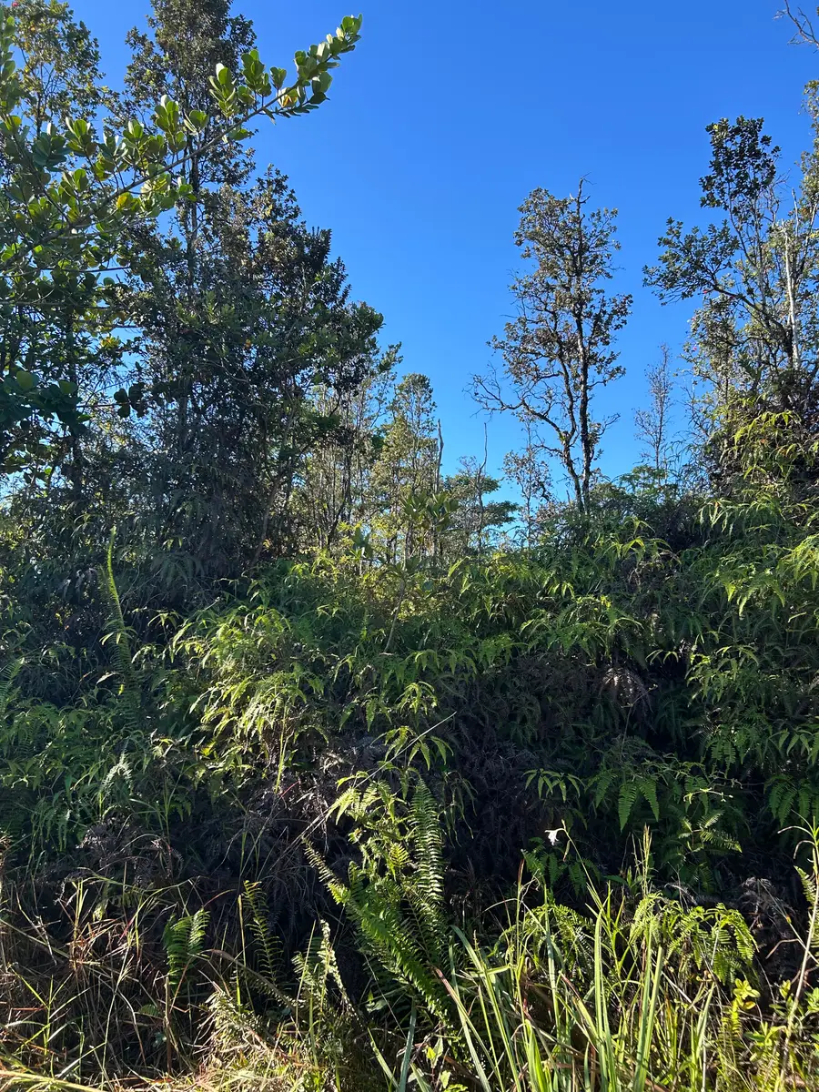 15-1510 8th Ave, Keaau, HI 96749 - Image #2