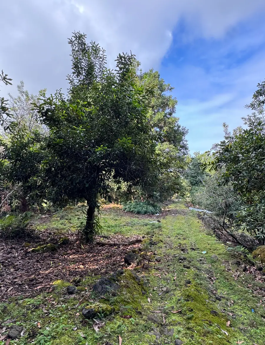 84-5052 Hawaii Belt Rd, Captain Cook, HI 96704 - Image #2