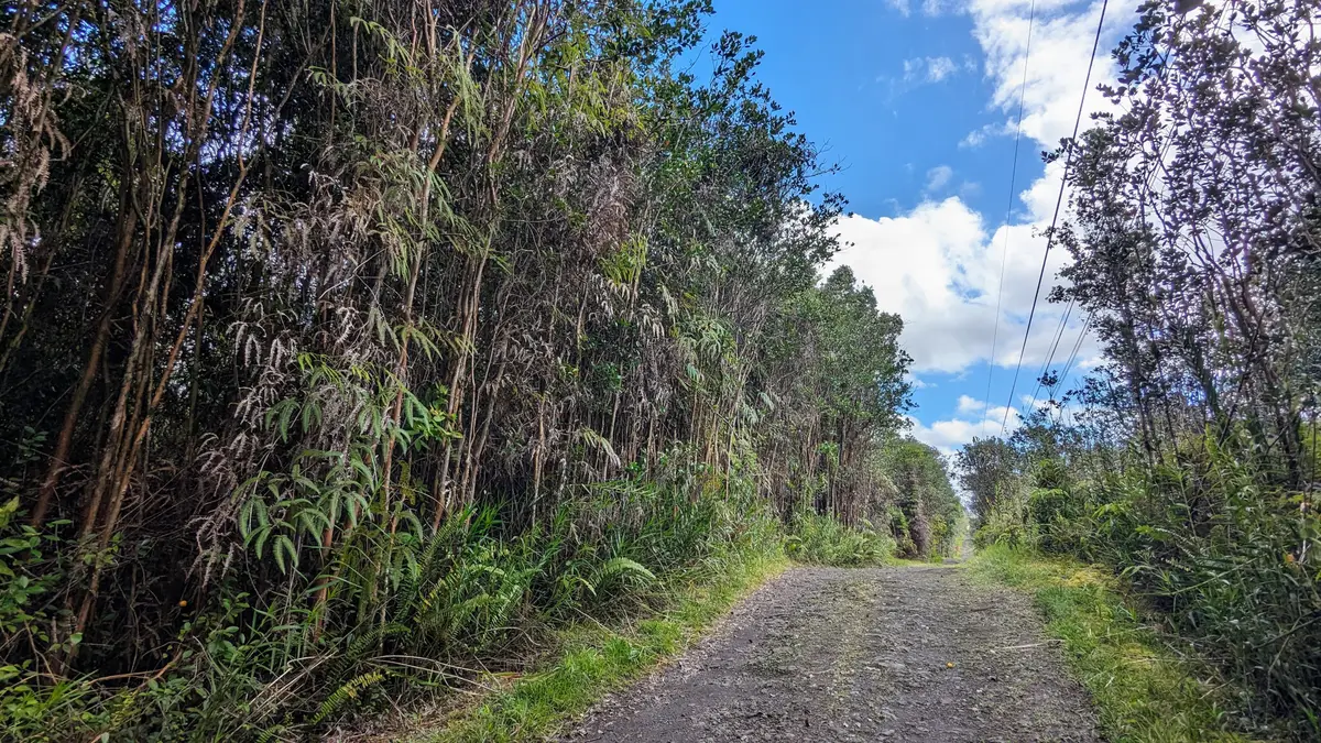 16-1395 Road 5 (uau), Hawaiian Acres, HI 96749 - Image #1