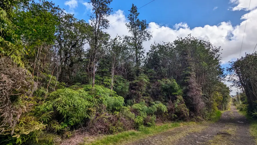 16-1395 Road 5 (uau), Hawaiian Acres, HI 96749 - Image #3