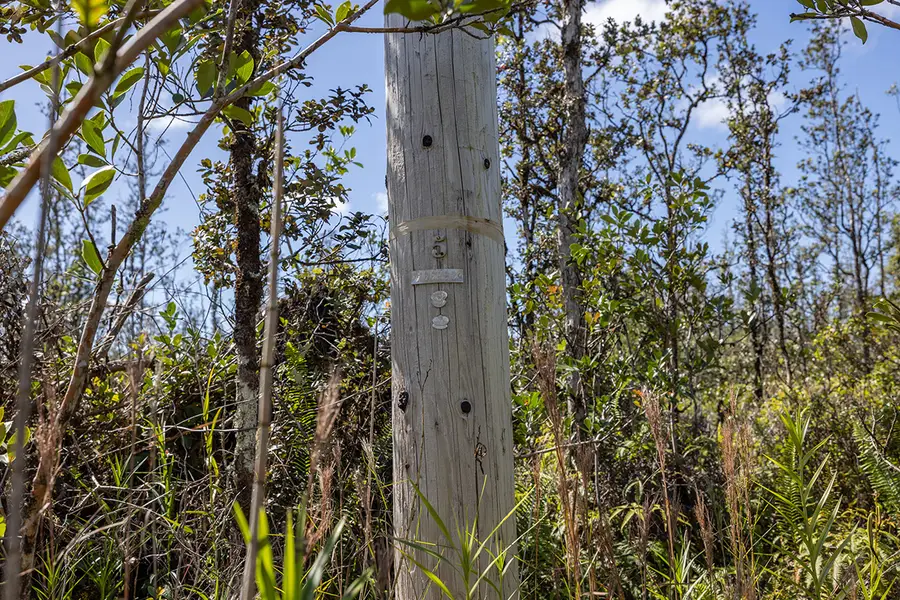 16-1128 Road 3 (hopue), Mountain View, HI 96771 - Image #3