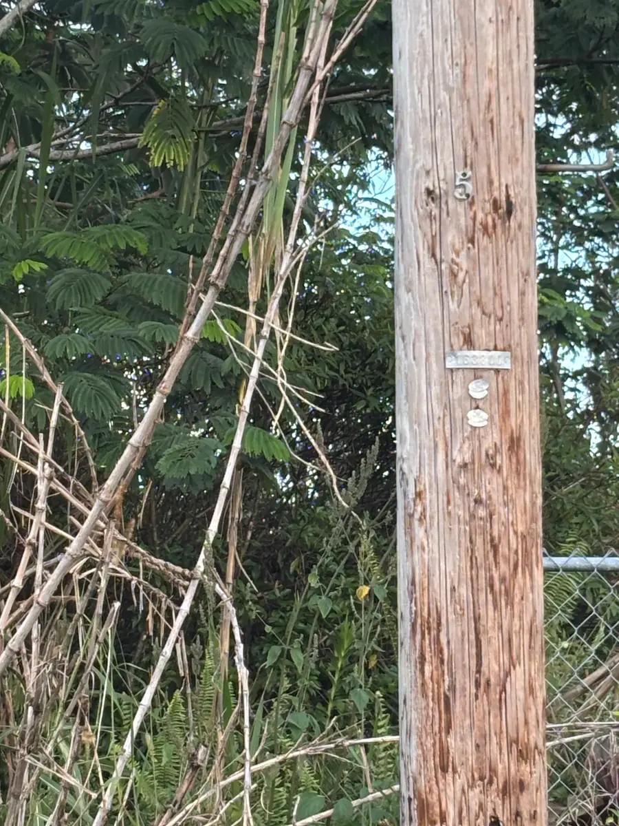 Hibiscus Dr, Pahoa, HI 96778 - Image #3