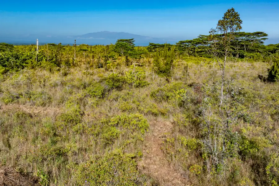 15-1455 4th Ave, Keaau, HI 96749 - #3