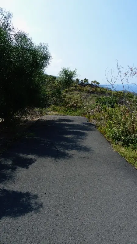 87-3179 Honu Hiamoe Rd, Captain Cook, HI 96704 - Image #2