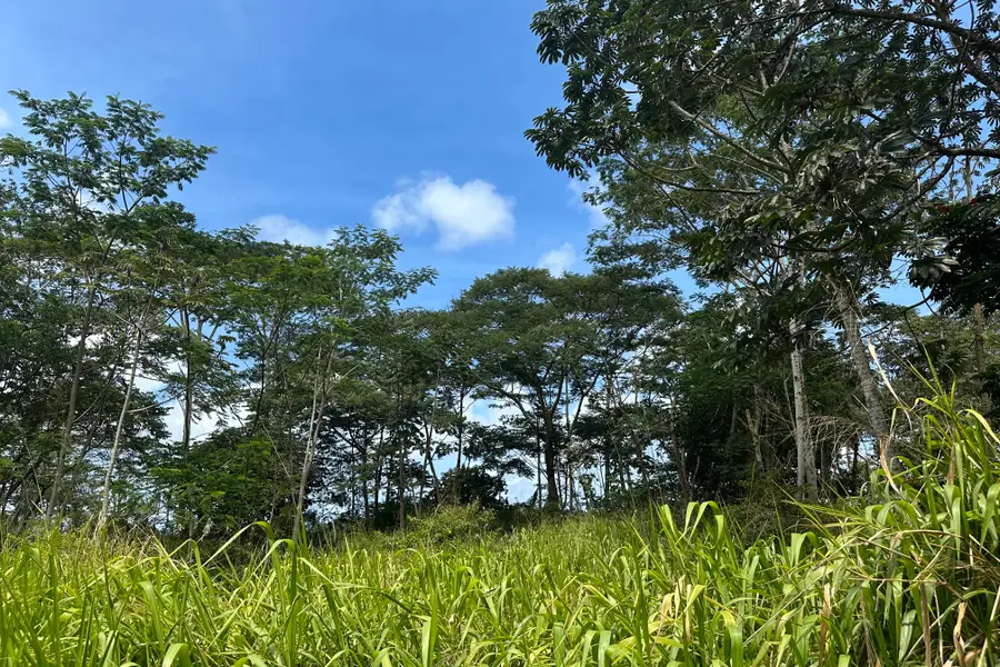 Tiki Rd, Keaau, HI 96749 - Image #3