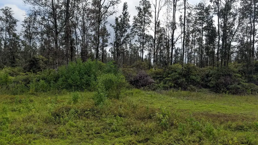 16-730 Aulii St, Keaau, HI 96749 - Image #2