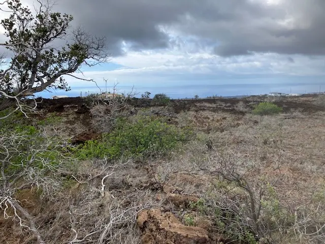 Hibiscus Dr, Ocean View, HI 96737 - Image #1