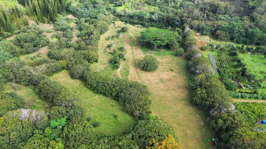 Ahiahi Rd, Kapaa, HI 96746 - Image #2