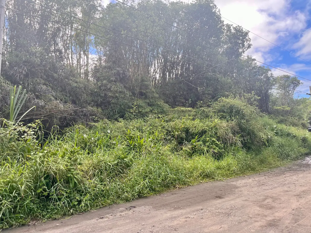 Oahu St, Mountain View, HI 96771 - Image #1