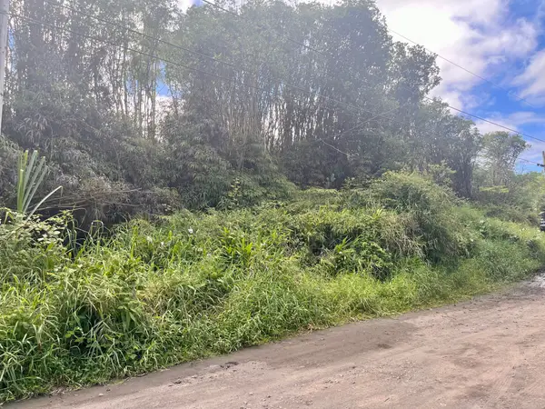 Oahu St, Mountain View, HI 96771