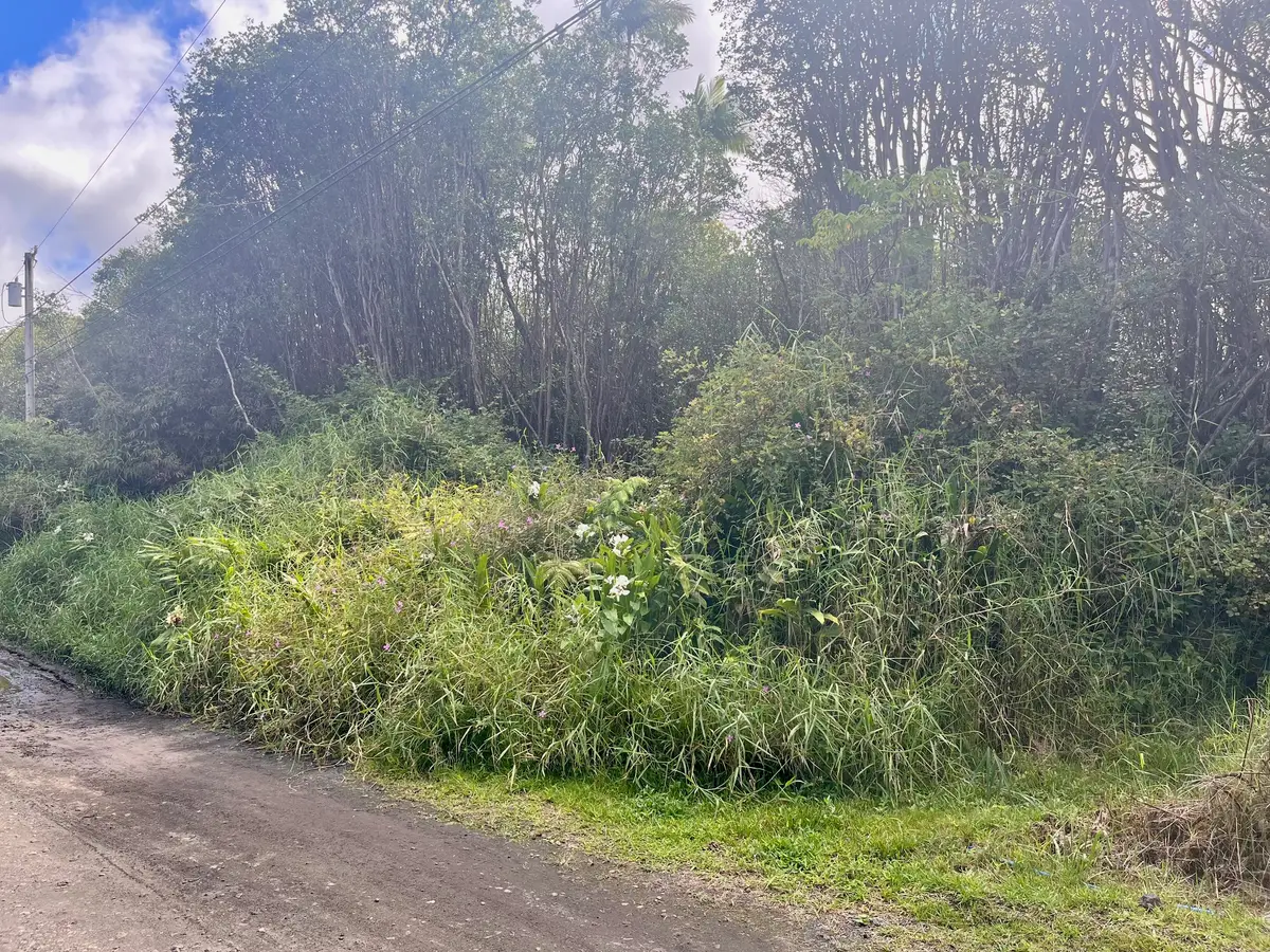 Oahu St, Mountain View, HI 96771 - #1