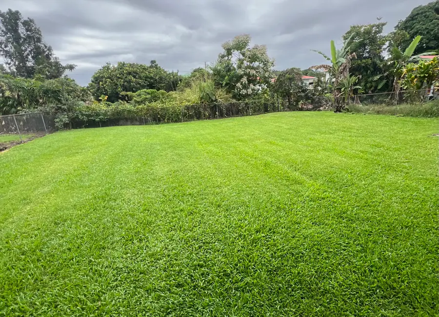 40 Spring St, Hilo, HI 96720 - Image #3