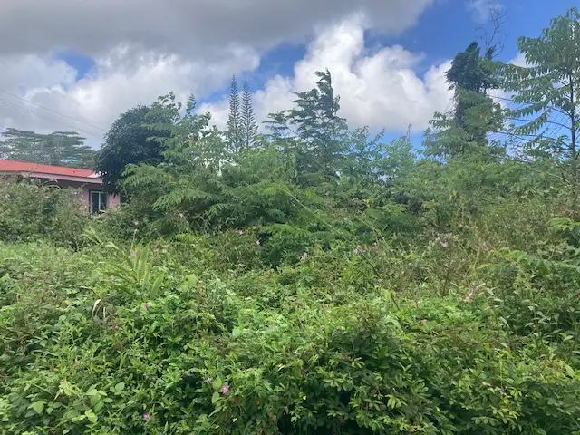 14-3479 Shell Rd, Pahoa, HI 96778 - Image #3