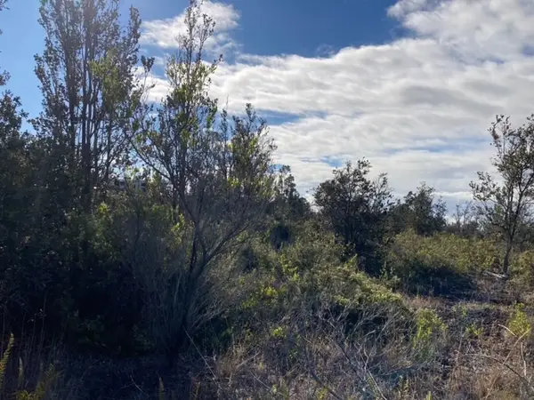 92-2120 Kona Drive, Ocean View, HI 96737