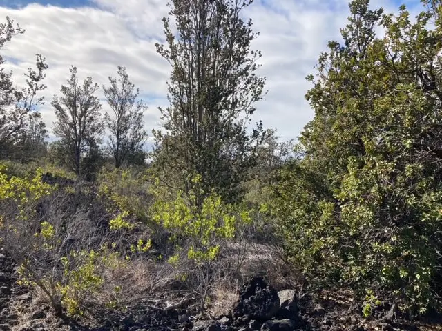 92-2120 Kona Drive, Ocean View, HI 96737 - #3