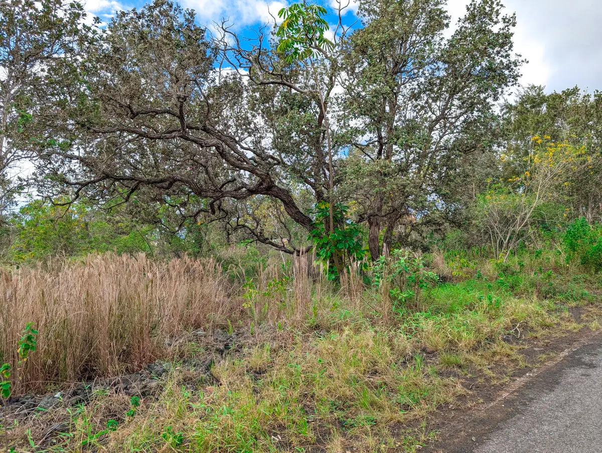 92-1524 Coral Parkway, Ocean View, HI 96737 - #1