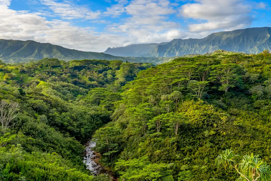 5370-A Kahiliholo Rd, Kilauea, HI 96754 - Image #3