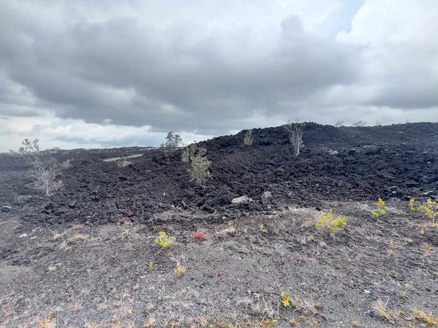 Marlin Blvd, Ocean View, HI 96737 - Image #3