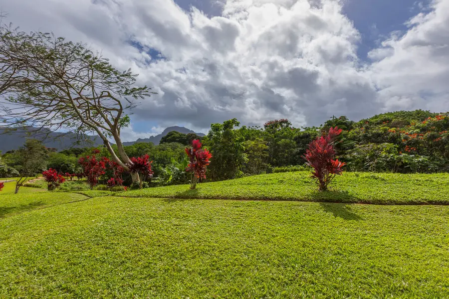 2110 Kaneka St #58, Lihue, HI 96766 - #3
