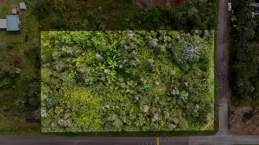 39th Ave, Kurtistown, HI 96760 - Image #3