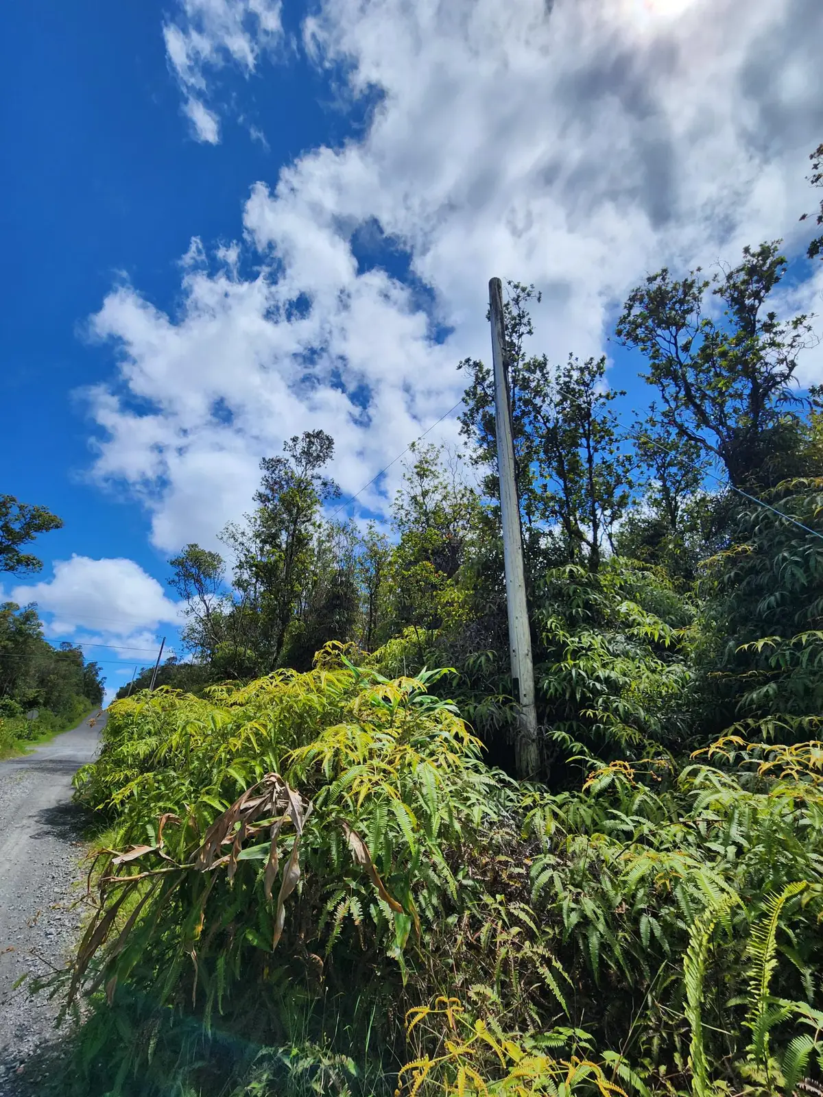 Apuakehau Rd, Volcano, HI 96785 - Image #1