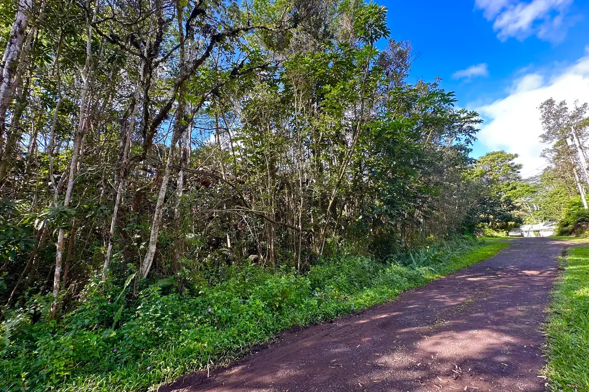 Dolphin Ln, Pahoa, HI 96778 - Image #1