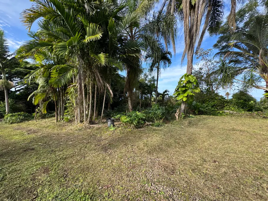 82-1161 Kinue Rd, Captain Cook, HI 96704 - #3