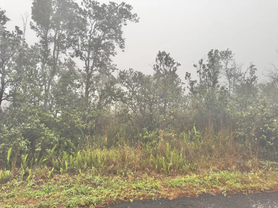 Palm Pkwy, Ocean View, HI 96737 - #3