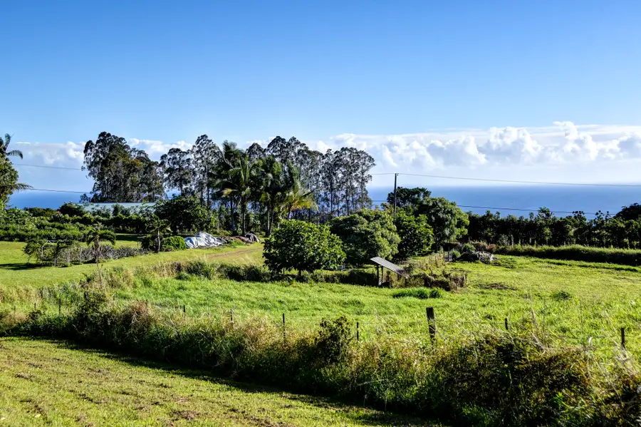 29-3871 Kanna Rd, Hakalau, HI 96710 - #3