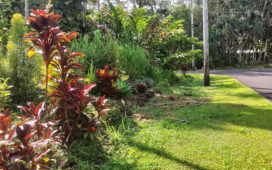 S Opelu St, Pahoa, HI 96778 - Image #2