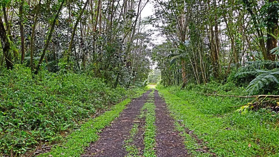 Ginger Rd, Pahoa, HI 96778 - #2