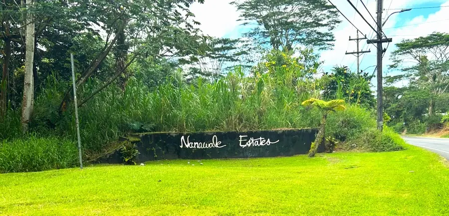 Ginger Rd, Pahoa, HI 96778 - #3