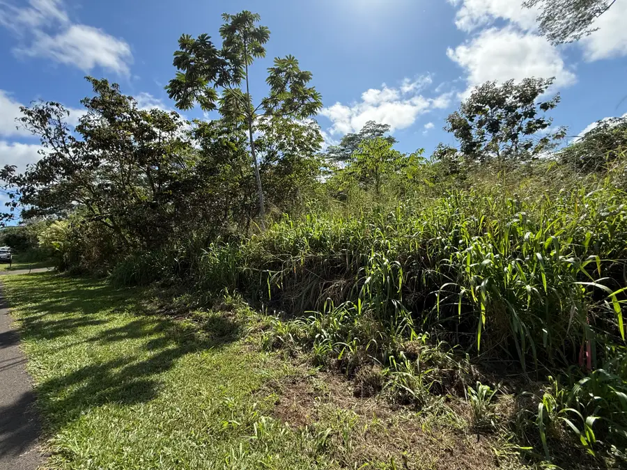 Manalo St, Pahoa, HI 96778 - #3