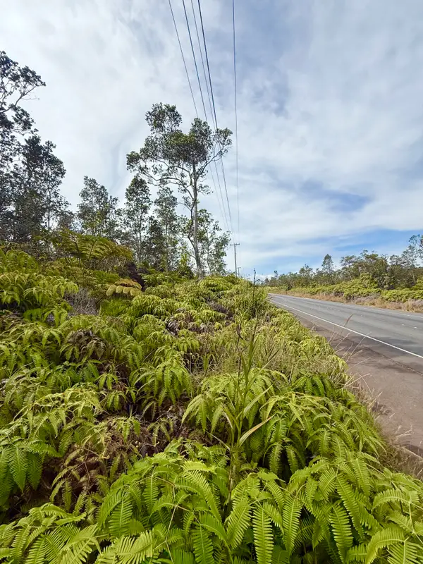 Volcano Rd, Volcano, HI 96785