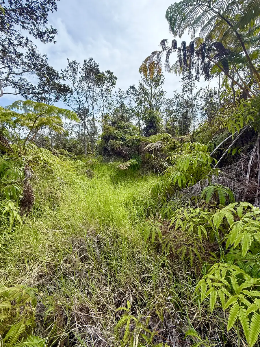 Volcano Rd, Volcano, HI 96785 - Image #3