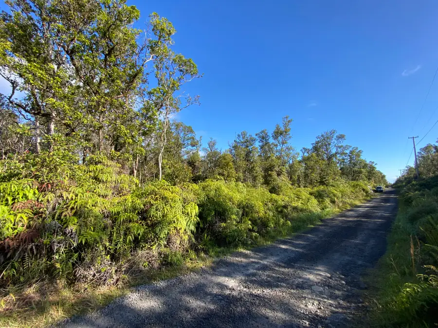 Jungle King Ave, Volcano, HI 96785 - #3