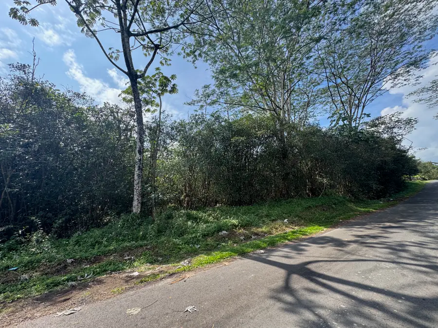 27th Ave, Keaau, HI 96749 - Image #2